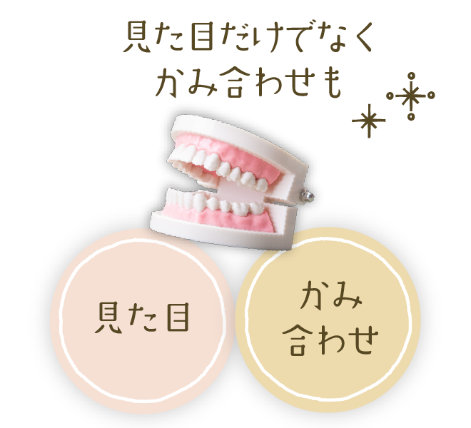 「見た目」「かみ合わせ」見た目だけでなくかみ合わせも